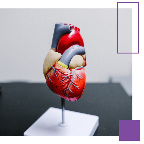 Servicio de cardiología avanzada en España con especialistas de Medrism