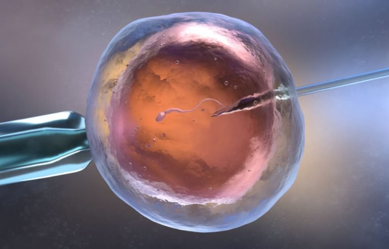 ¿Qué es la reproducción asistida y cuáles son sus tipos?